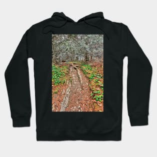 Frosted Appalachian Trail Hoodie